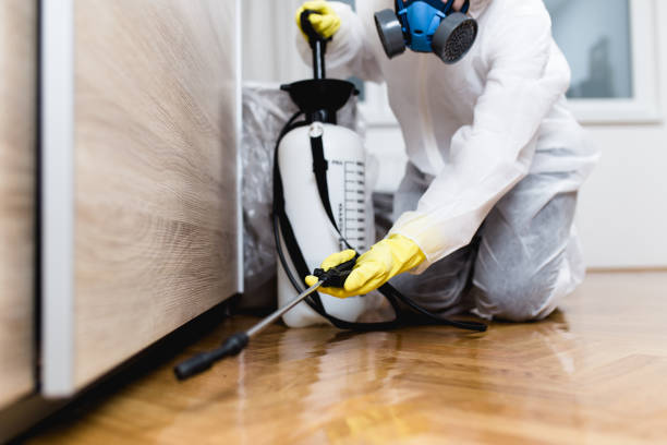Best Rat Extermination Near Me  in Bayonne, NJ