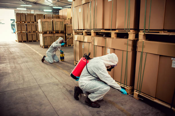 Best Affordable Pest Control Services  in Bayonne, NJ