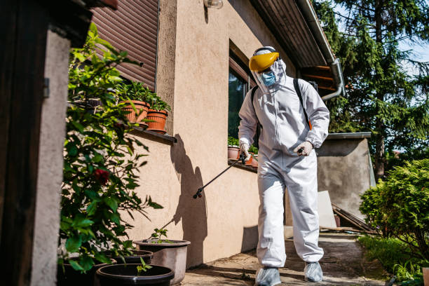 Insect Control in Bayonne, NJ
