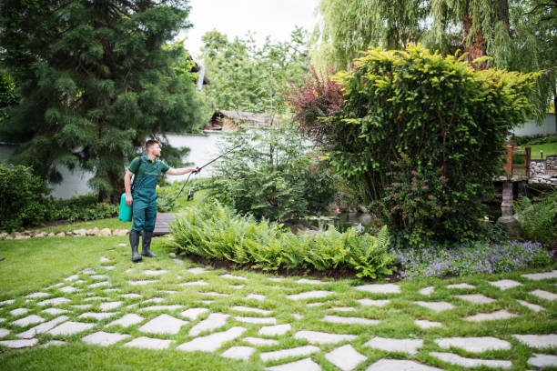 Best Affordable Pest Control Services  in Bayonne, NJ