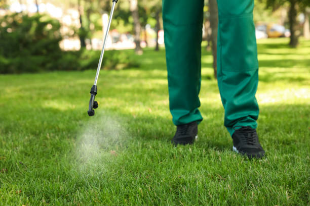 Trusted Bayonne, NJ Pest Control Experts
