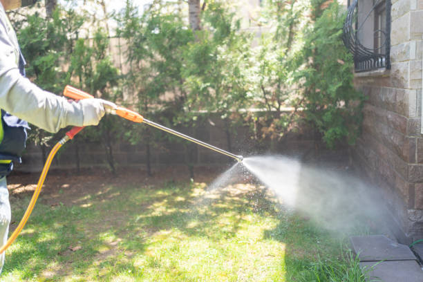 Wildlife Control Services in Bayonne, NJ