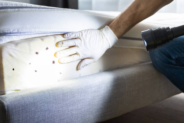 Best Cockroach Control Services  in Bayonne, NJ