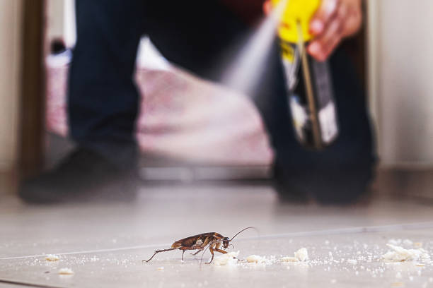Best Pest Control Near Me  in Bayonne, NJ