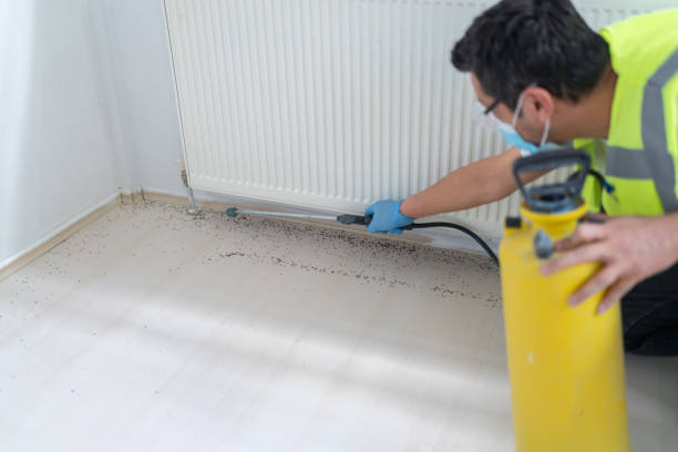 Best Termite Control Services  in Bayonne, NJ