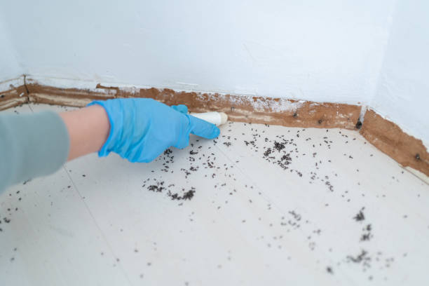 Best Pest Control Cost  in Bayonne, NJ