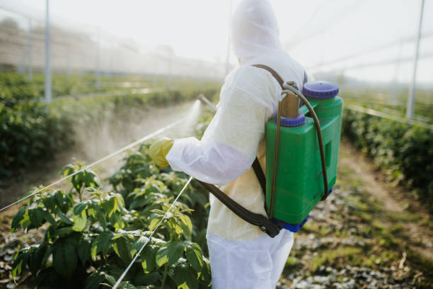 Best Exterminator Services  in Bayonne, NJ